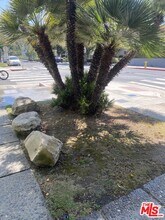 4244 Duquesne Ave in Culver City, CA - Building Photo - Building Photo