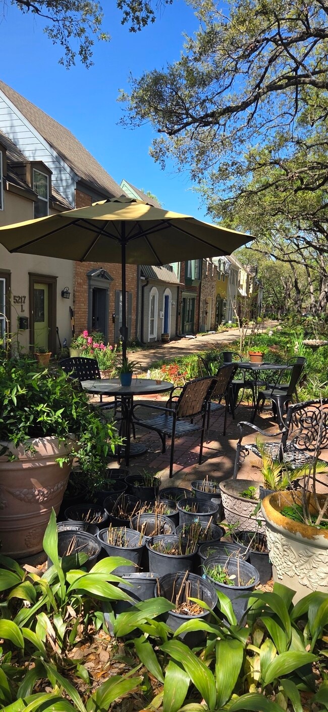 property at 5217 Arboles Dr