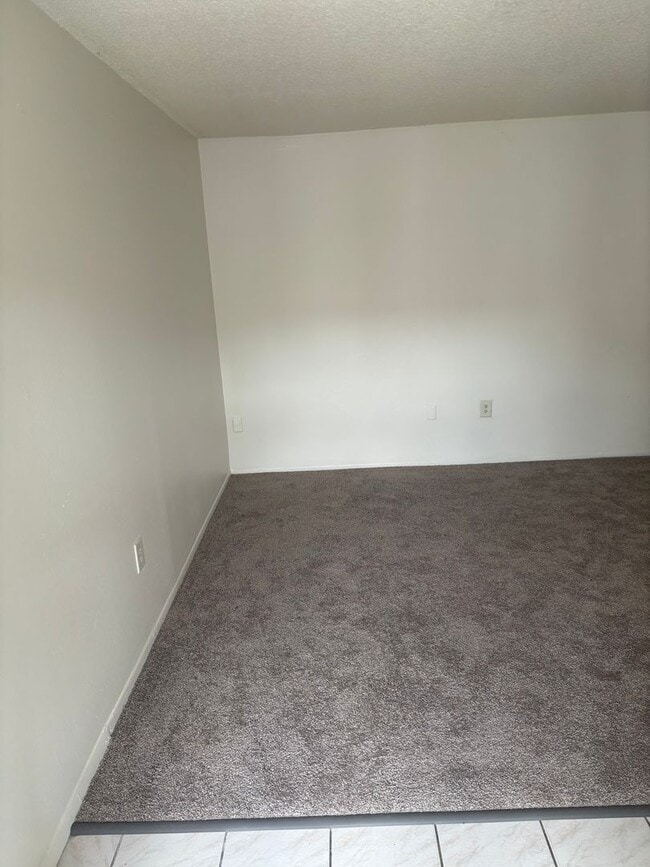 1347 Baywatch Loop in Tampa, FL - Building Photo - Building Photo