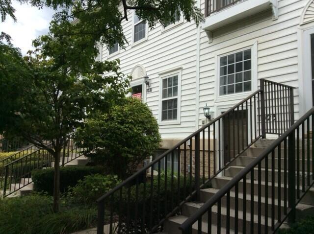 1021 Maiden Ln in Ann Arbor, MI - Building Photo - Building Photo