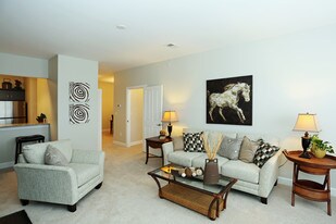 Virginia Beach Luxury Apartments For Rent Virginia Beach Va