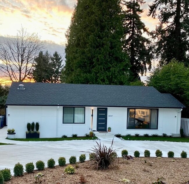 property at 3847 94th Ave NE