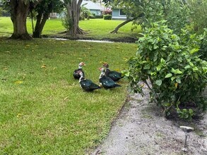 13718 Callington Dr in Wellington, FL - Building Photo - Building Photo