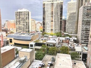 100 E Walton Pl in Chicago, IL - Building Photo - Building Photo