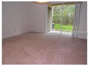 2084 Fiesta Ridge Ct in Tampa, FL - Foto de edificio - Building Photo