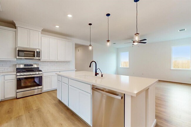 21815 Sunshine Cove Ln in Cypress, TX - Building Photo - Building Photo