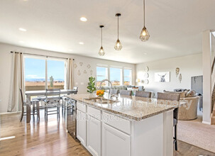 5217 Alberta Falls St in Timnath, CO - Building Photo - Building Photo