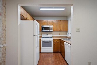 315 Rawhide Loop in Round Rock, TX - Building Photo - Building Photo
