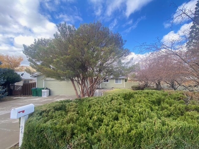 94 Zircon Dr in Reno, NV - Foto de edificio - Building Photo