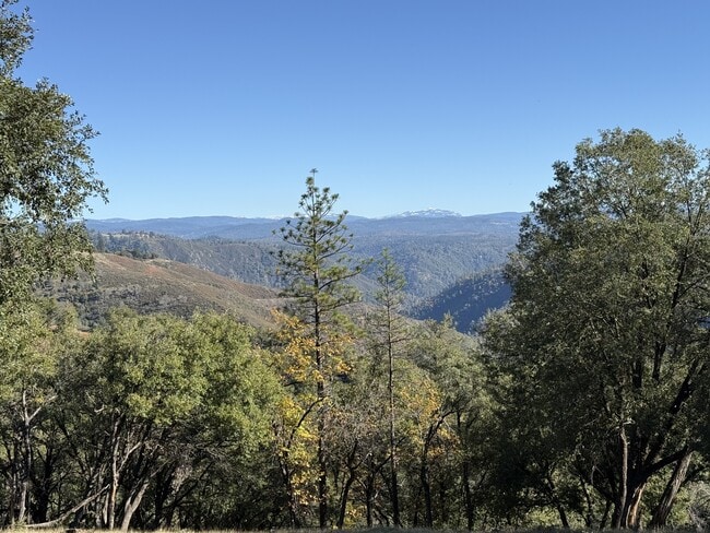 10201 Ponderosa Way in Pine Grove, CA - Building Photo - Building Photo