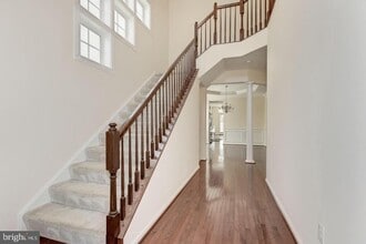 3795 Louise Ave in Chantilly, VA - Building Photo - Building Photo