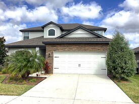 11621 Winterset Cove Drive in Riverview, FL - Building Photo