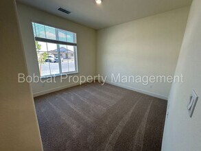 923 Nelle Dr in Minden, NV - Building Photo - Building Photo