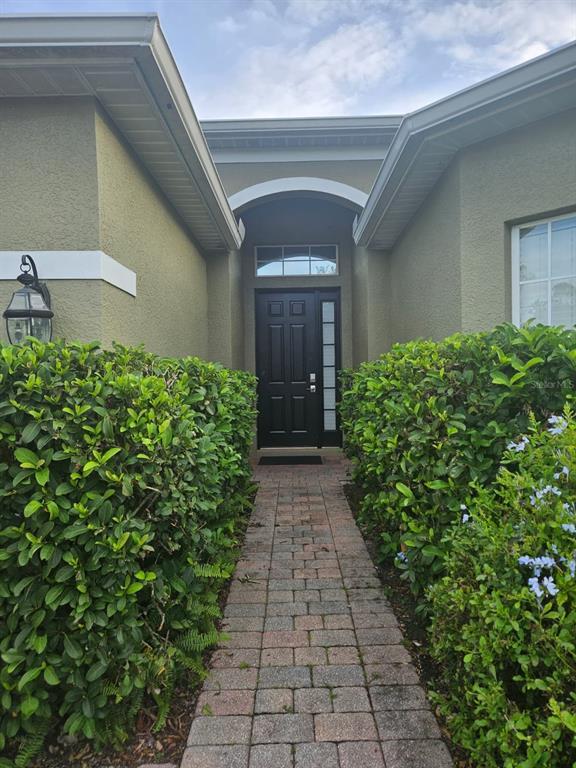 3476 Gerber Daisy Ln in Oviedo, FL - Building Photo - Building Photo