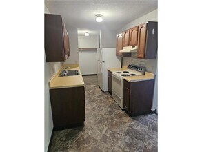 528 N Grant St in Blue Earth, MN - Building Photo - Building Photo