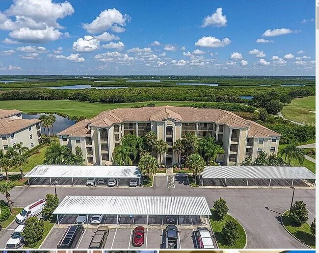 7019 River Hammock Dr Apartments and Nearby Bradenton Apartments For