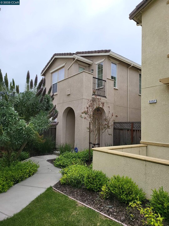 5161 Waggle Ct in Richmond, CA - Building Photo