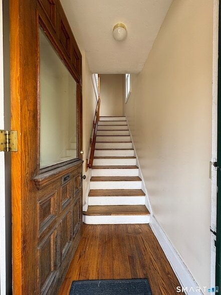 799 Elm St in New Haven, CT - Foto de edificio - Building Photo