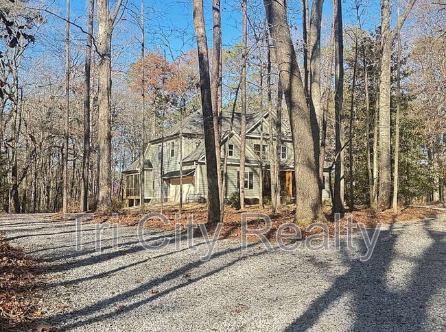 175 Ridgeway Ct in Senoia, GA - Building Photo - Building Photo