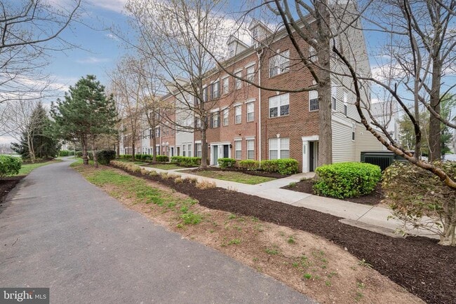 42461 Rockrose Square in Ashburn, VA - Building Photo - Building Photo