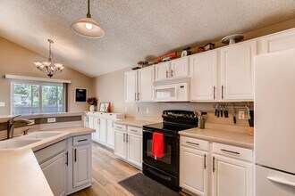 11685 River Run Pkwy in Commerce City, CO - Foto de edificio - Building Photo