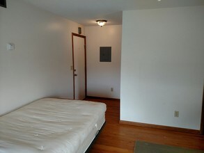 102 Spring St, Unit #3 in Ypsilanti, MI - Foto de edificio - Building Photo