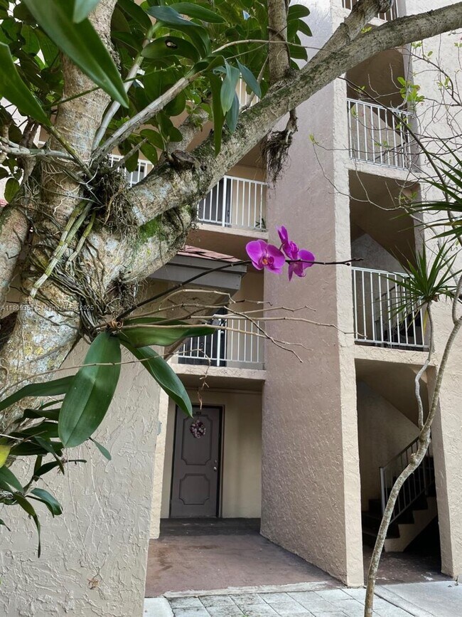 9431 Live Oak Pl in Davie, FL - Building Photo - Building Photo