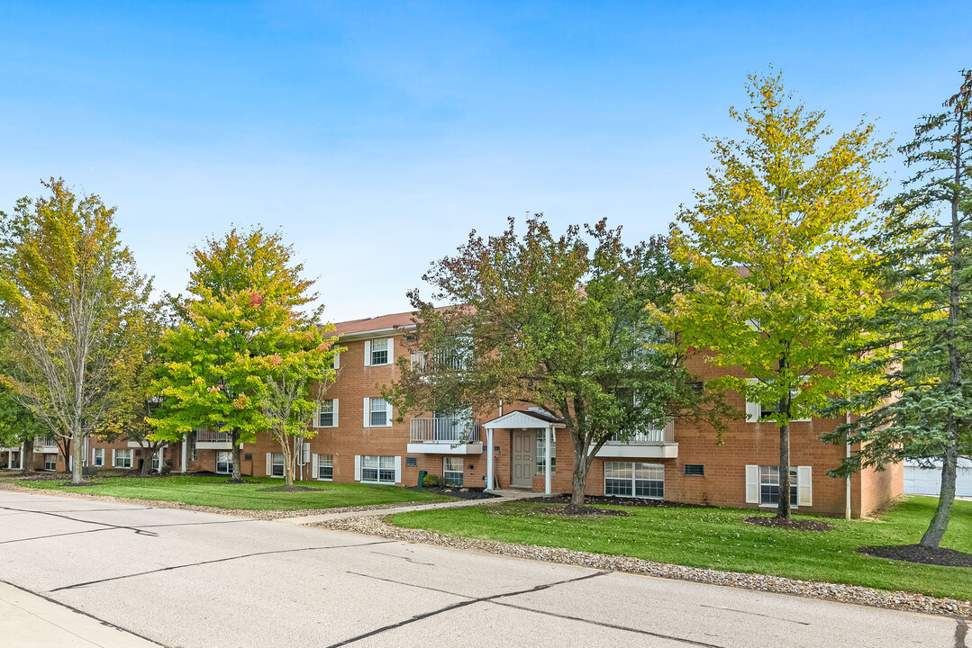 Pine Forest in North Royalton, OH - Building Photo