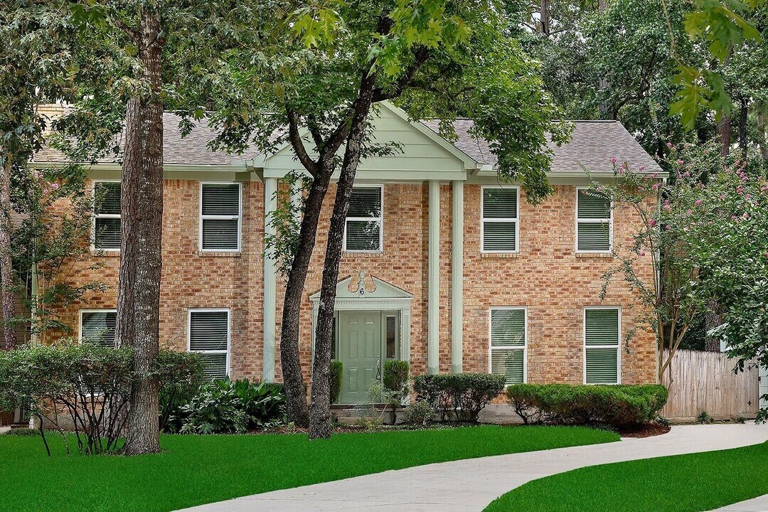 6 Berryfrost Ln in Spring, TX - Building Photo