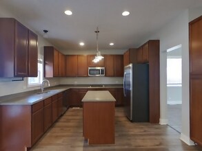 10416 Santa Cruz Ln in Orland Park, IL - Building Photo - Building Photo