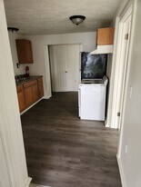 511 S Michigan Ave in Big Rapids, MI - Building Photo