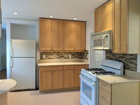 13 Garden Ter, Unit 13 in Malden, MA - Building Photo