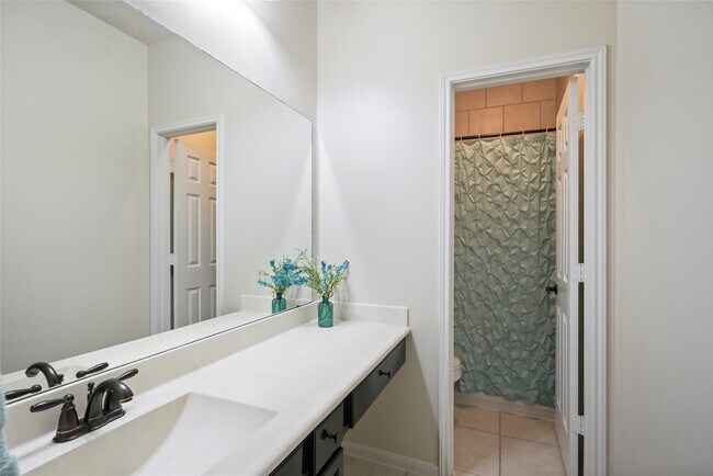 8132 Tranquil Lake Way in Conroe, TX - Building Photo - Building Photo