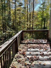 248 Knowles Haven Ln in Boone, NC - Building Photo - Building Photo