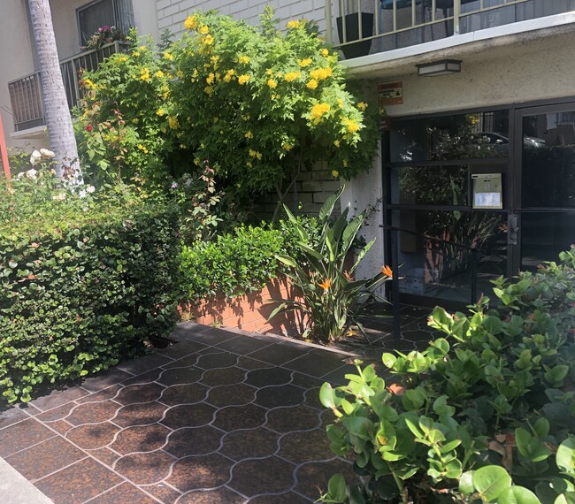 514 S Gramercy Pl, Unit 08 in Los Angeles, CA - Building Photo - Building Photo