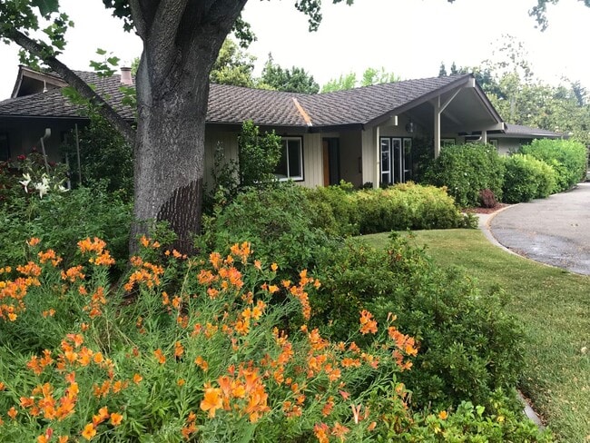 171 Via Bonita in Alamo, CA - Building Photo - Building Photo