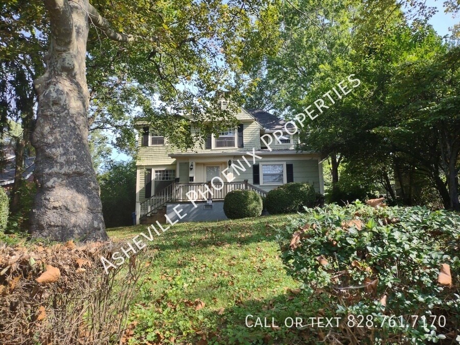 150 E Chestnut St in Asheville, NC - Building Photo