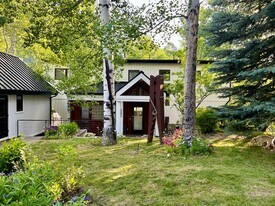 262 Eastwood Rd in Aspen, CO - Building Photo