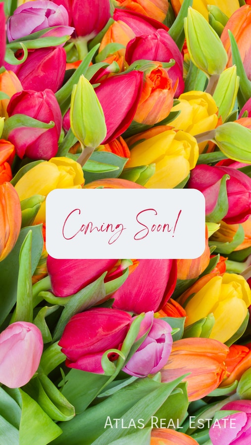 property at 2692 Niddrie Ave