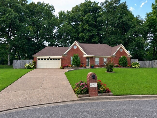 property at 3211 Shadow Green Ln