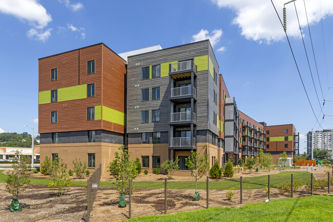 Apex Apartments in Arlington, VA - Building Photo - Building Photo