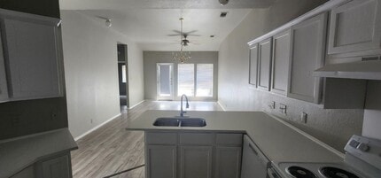 1217 Armadillo Rd in Austin, TX - Building Photo - Building Photo