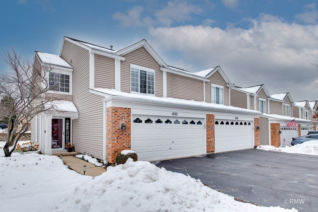 1223 Summersweet Ln in Bartlett, IL - Building Photo