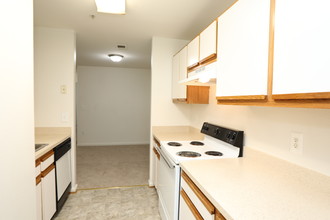 The Fields of Manassas in Manassas, VA - Foto de edificio - Interior Photo