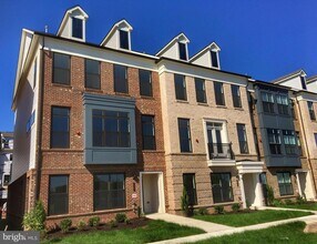 22591 Amendola Terrace in Ashburn, VA - Building Photo - Building Photo