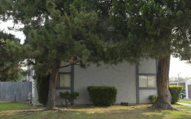 1616 Sycamore Dr in Antioch, CA - Foto de edificio - Building Photo