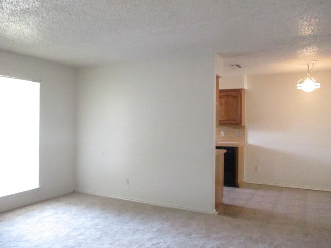 1238 Misty Ln in Duncanville, TX - Building Photo - Building Photo