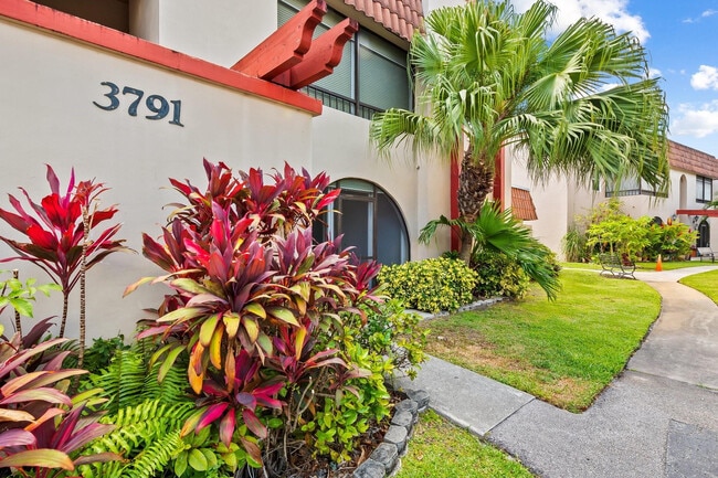 property at 3791 NW 84th Ave