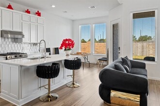 17754 Pansy Heron Trl in Hockley, TX - Building Photo - Building Photo