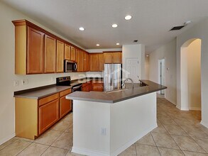 6019 Blue Sage Dr in Land O Lakes, FL - Building Photo - Building Photo